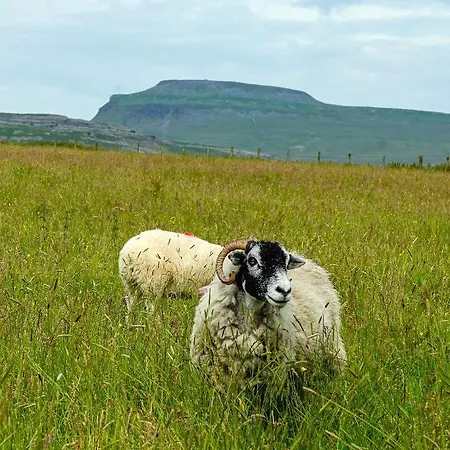 Pemberton Ingleton (North Yorkshire)